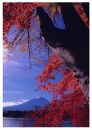 富士山写真大賞  額装写真「秋の湖畔　河口湖にて」(全紙  額装サイズ約530×640mm)