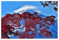 富士山写真大賞  額装写真「紅白の富士　河口湖大石より」(全紙  フレームサイズ約530×640mm)