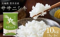 【令和5年産】宮城県登米市産ササニシキ精米　５kg×２個セット
