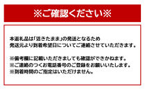 活&nbsp;伊勢海老&nbsp;1匹（約300ｇ）南紀黒潮イセエビ&nbsp;年末年始&nbsp;お正月&nbsp;お届け可【着日指定必須】｜期間限定&nbsp;漁師直送&nbsp;海鮮&nbsp;とれたて&nbsp;人気&nbsp;伊勢エビ&nbsp;新鮮伊勢海老&nbsp;南紀伊勢海老&nbsp;人気伊勢海老&nbsp;イセエビ&nbsp;いせえび&nbsp;海老&nbsp;エビ&nbsp;えび&nbsp;ebi&nbsp;iseebi&nbsp;刺身&nbsp;焼き物&nbsp;お味噌汁&nbsp;鍋&nbsp;おすすめ&nbsp;送料無料&nbsp;和歌山県&nbsp;那智勝浦町