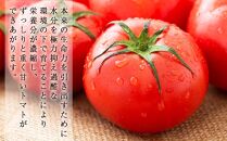 こだわりトマトジュース ～凜花～ 3本セット＜吉川農園＞【ポイント交換専用】