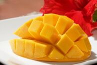 【限定５セット】田中マンゴー園のマンゴードライフルーツ（40g×２袋）【ポイント交換専用】
