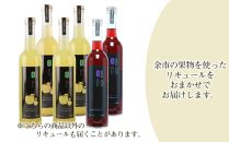 果汁たっぷり！そのまま飲める♪リキュール おまかせ2種飲み比べセット＜余市リキュールファクトリー＞