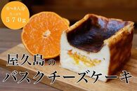 屋久島のバスクチーズケーキ【たんかん】