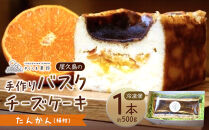 屋久島の手作りバスクチーズケーキ&nbsp;（たんかん）
