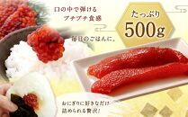 【丸富水産】北海道産 銀聖 筋子（500g）