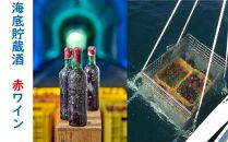 海底貯蔵酒　赤ワイン　チリ　エチェヴェリア シラー・ グラン・レゼルヴァ2018