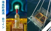 海底貯蔵酒　白ワイン　チリ　エチェヴェリア シャルドネ・ グラン・レゼルヴァ2018