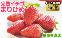 完熟イチゴ まりひめ 特選 和歌山県産