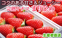 完熟イチゴ まりひめ 2パック 和歌山県産