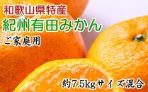 和歌山有田みかん7.5kg ご家庭用 (サイズ混合) ★2024年11月中旬頃より順次発送【TM103】