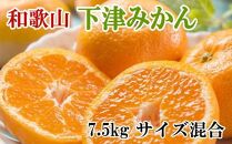 【産直】和歌山下津みかん約7.5kg(サイズ混合) ★2023年11月中旬頃より順次発送