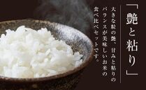 【令和5年産】宮城県登米市産　食べ比べ10kg（ササニシキ・つや姫精米各5kg）