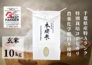  本腰米10kg 特Aコシヒカリ玄米 無農薬有機栽培