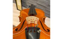 No.310set アウトフィットバイオリン 4/4サイズ