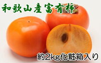［厳選・産直］和歌山産の富有柿約2kg（化粧箱入り）（2L～4Lサイズ）
