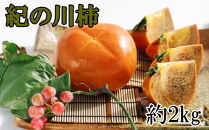 ◆先行予約◆【希少】紀の川柿約1.8～2kg（種無し・黒あま柿）秀選品