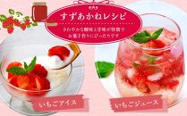 北海道ひだか東産 冷凍いちご「すずあかね」（真空パック1.0kg×2袋）