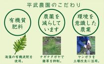 有田みかん 家庭用10kg  平武農園 農家直送