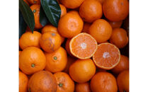 農家直送！有田みかん（10kg&nbsp;無選別≪秀品･訳あり品･サイズ混合≫）平武農園　～蛍飛ぶ町から旬の便り～