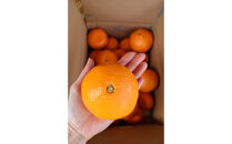 農家直送！有田みかん（9kg&nbsp;3Lサイズ（超大玉）秀品）平武農園　～蛍飛ぶ町から旬の便り～