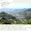 農家直送！なつみオレンジ&nbsp;3kg&nbsp;≪秀品≫【平武農園】～蛍飛ぶ町から旬の便り～