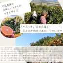 農家直送！なつみオレンジ&nbsp;3kg&nbsp;≪秀品≫【平武農園】～蛍飛ぶ町から旬の便り～