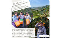 農家直送！きよみオレンジ&nbsp;3kg&nbsp;≪秀品≫［平武農園］～蛍飛ぶ町から旬の便り～［2026年3月下旬から順次発送予定］