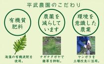 農家直送！きよみオレンジ家庭用3kg【平武農園】～蛍飛ぶ町から旬の便り～