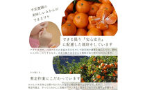 農家直送！きよみオレンジ&nbsp;3kg&nbsp;無選別≪秀品・訳あり品・サイズ混合≫［平武農園］～蛍飛ぶ町から旬の便り～［2026年3月下旬から順次発送予定］