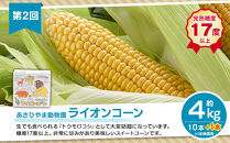 【26年7月発送開始】かに太郎&nbsp;定期便Aセット（赤肉メロン、ライオンコーン、白くまコーン、無添加鮭イクラ醤油漬け）全4回&nbsp;_01193