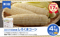 【26年7月発送開始】かに太郎&nbsp;定期便Aセット（赤肉メロン、ライオンコーン、白くまコーン、無添加鮭イクラ醤油漬け）全4回&nbsp;_01193