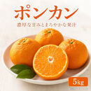 紀州和歌山有田産ポンカン　５ｋｇ［2027年2月上旬頃から2027年2月下旬頃に順次発送］［UT20］