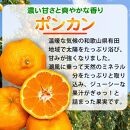 紀州和歌山有田産ポンカン　５ｋｇ【2025年2月上旬頃～2025年2月下旬頃に順次発送】【UT20】