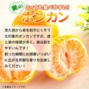 紀州和歌山有田産ポンカン　５ｋｇ【2025年2月上旬頃～2025年2月下旬頃に順次発送】【UT20】