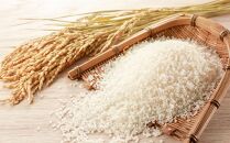 【令和7年産】旭川&nbsp;ななつぼし&nbsp;米&nbsp;10kg(1kg×10)&nbsp;_01456