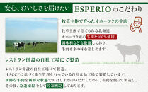 レストランの北海道牛肉100％ハンバーグ6個セット&nbsp;_01383