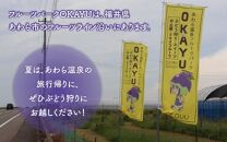 【先行予約】8月特選 ぶどうセットM　1kg以上（2～3房）／ 葡萄 シャインマスカット シャイン 品種 おまかせ あわら 農家おすすめ ※2025年8月より順次発送