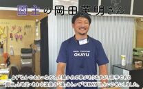 【先行予約】8月特選 ぶどうセットM　1kg以上（2～3房）／ 葡萄 シャインマスカット シャイン 品種 おまかせ あわら 農家おすすめ ※2025年8月より順次発送