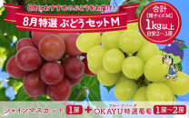 【先行予約】8月特選 ぶどうセットM　1kg以上（2～3房）／ 葡萄 シャインマスカット シャイン 品種 おまかせ あわら 農家おすすめ ※2025年8月より順次発送
