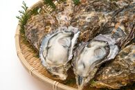 島田水産　Shimada　Oyster　生かき1ｋｇ（500ｇ×2）+殻付き10個（加熱用）