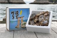 島田水産　Shimada　Oyster　殻付き牡蠣20個(加熱用）