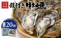 島田水産　Shimada　Oyster　殻付き牡蠣20個(加熱用）【広島かき 広島牡蠣 牡蠣 新鮮 旬 おすすめ 人気 広島県 宮島 廿日市市】