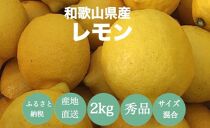  【産地直送】和歌山県産 レモン 2kg サイズ混合 【US43】