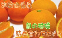 【農家直送】旬の濃厚柑橘詰め合わせセット（ご家庭用）　約３kg