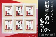 杵つき餅 新潟産こがねもち100％ 8切×6袋 〈2024年12月中旬～下旬発送〉