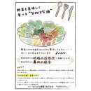 ＜愛知県産菜種100％使用＞なのはな油600g×24本