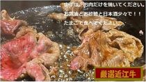 厳選近江牛すき焼き＆しゃぶしゃぶ1,500g