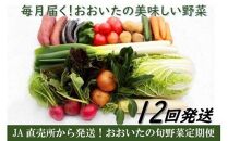 毎月お届け!おおいたの旬野菜4月から1年間定期便/計12回発送_1460R
