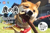 鹿の角（Ｍサイズ×2本）京都丹後産　ペット犬用おやつ　ドッグガム